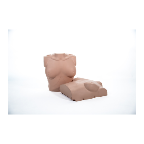 PRESTAN Professional Adult Female Replacement Skin, 2-Pack
